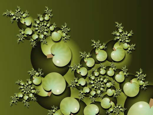 740685 (a): :2048x1536